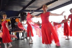Foto Edemir Rodrigues (5)