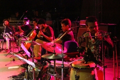 Foto Edemir Rodrigues (10)