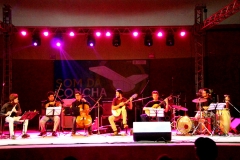 Foto Edemir Rodrigues (12)